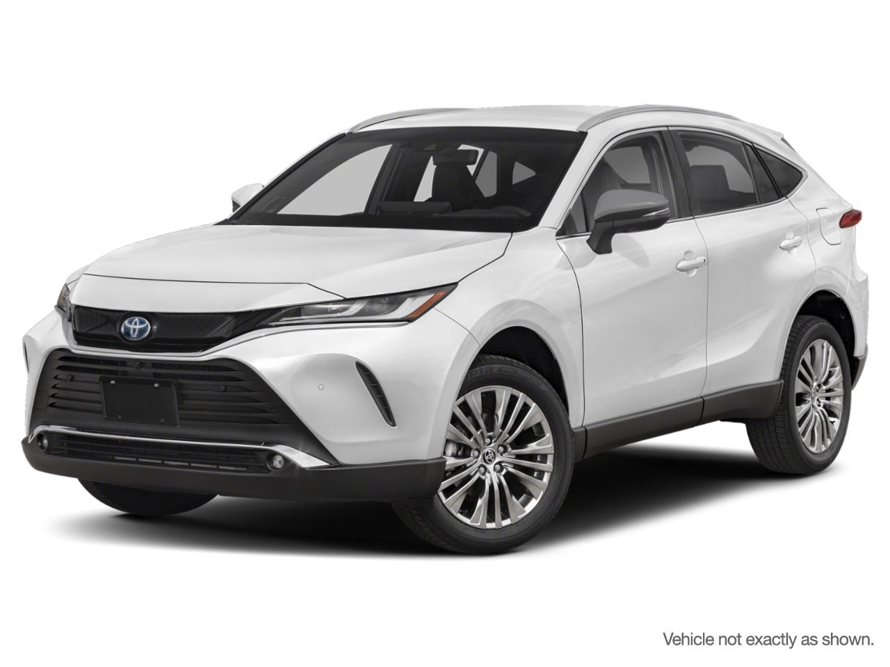 2023 Toyota Venza LIMITED AWD Photo