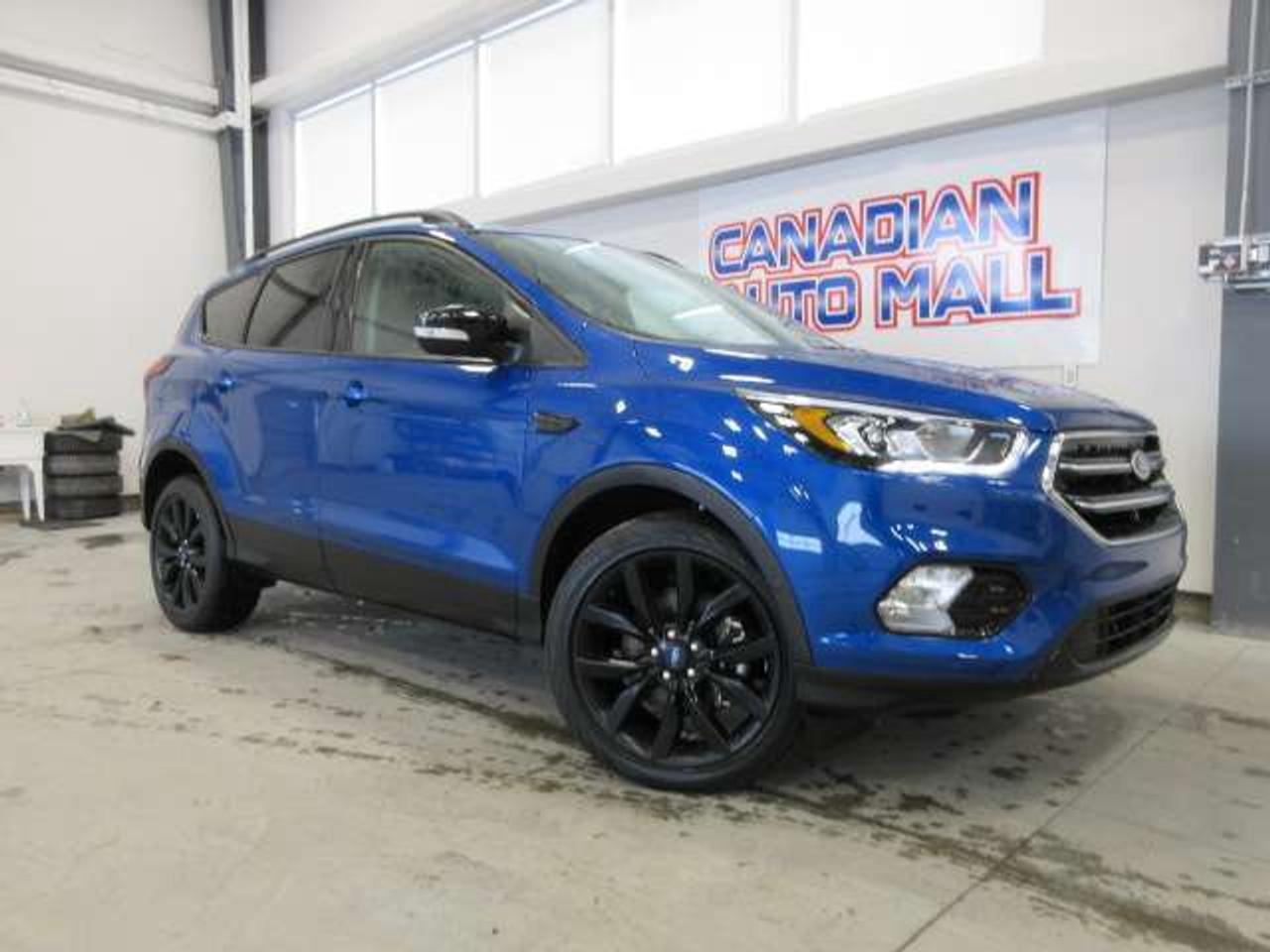 2017 Ford Escape TITANIUM, NAV, ROOF, LOADED, JUST 77K! Photo