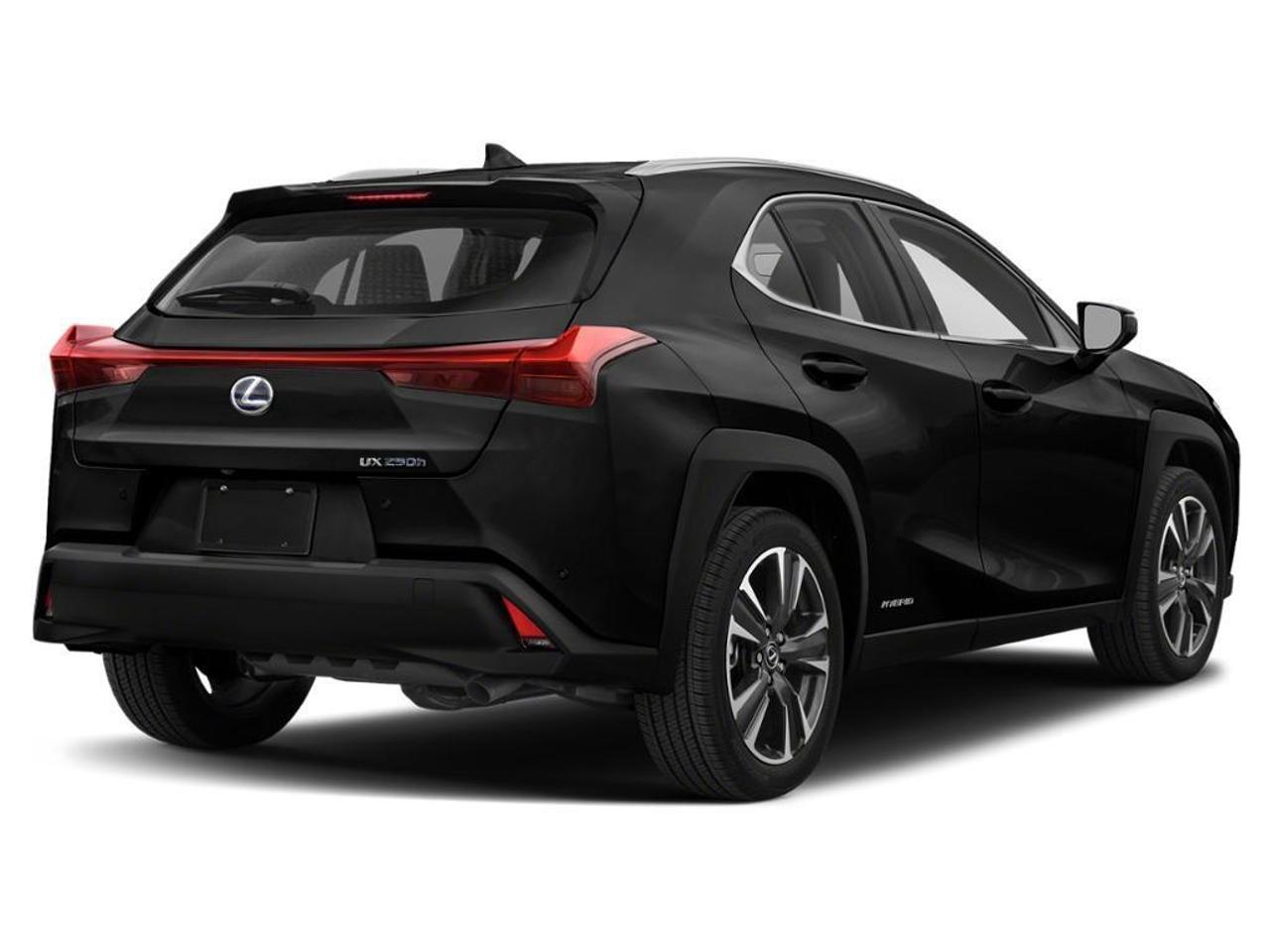 2020 Lexus UX 250H  Photo