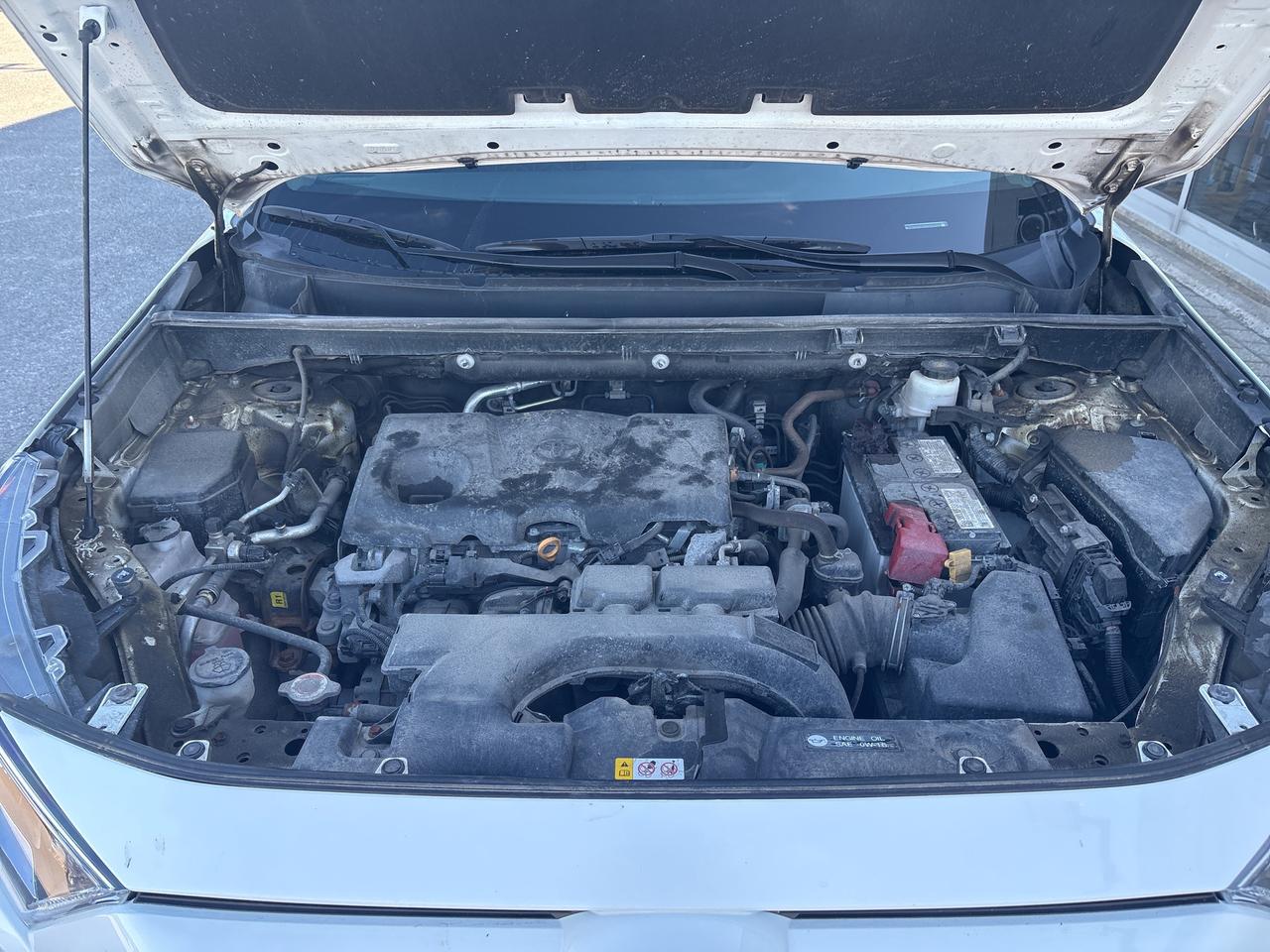 2021 Toyota RAV4 XLE Photo