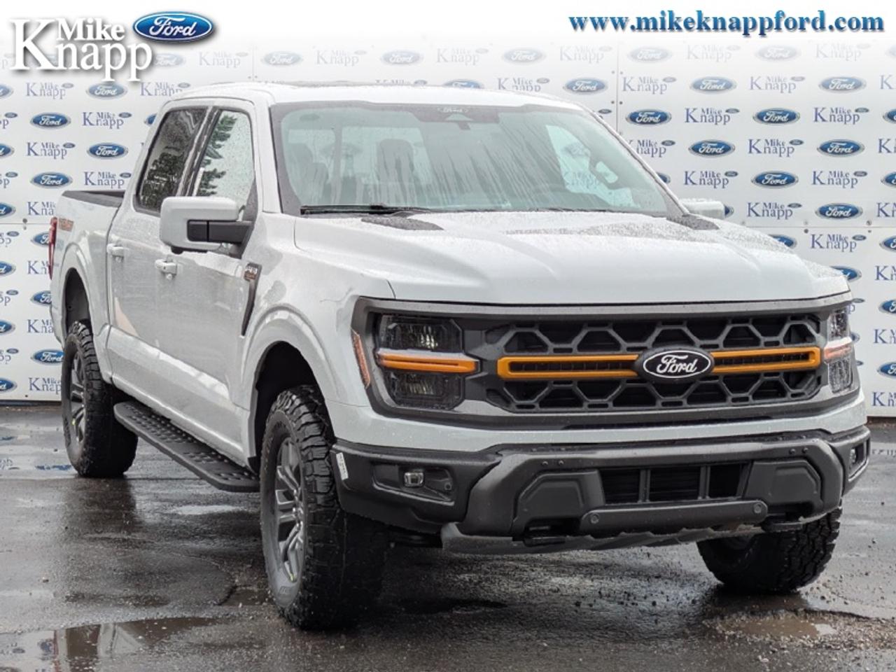 2026 Ford F-150 Tremor Photo
