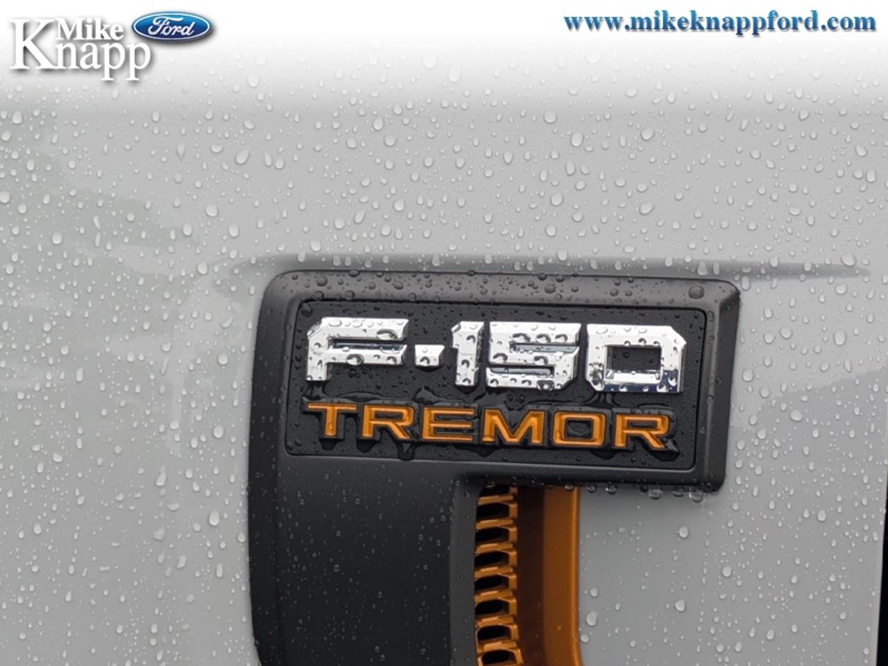 2026 Ford F-150 Tremor Photo