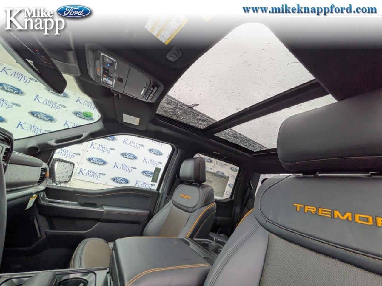 2026 Ford F-150 Tremor Photo