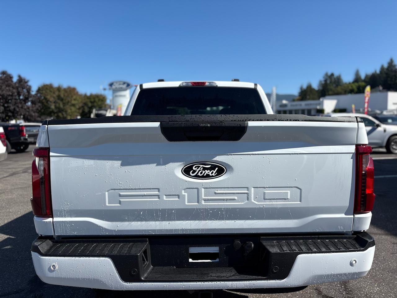 2026 Ford F-150 XLT Photo3