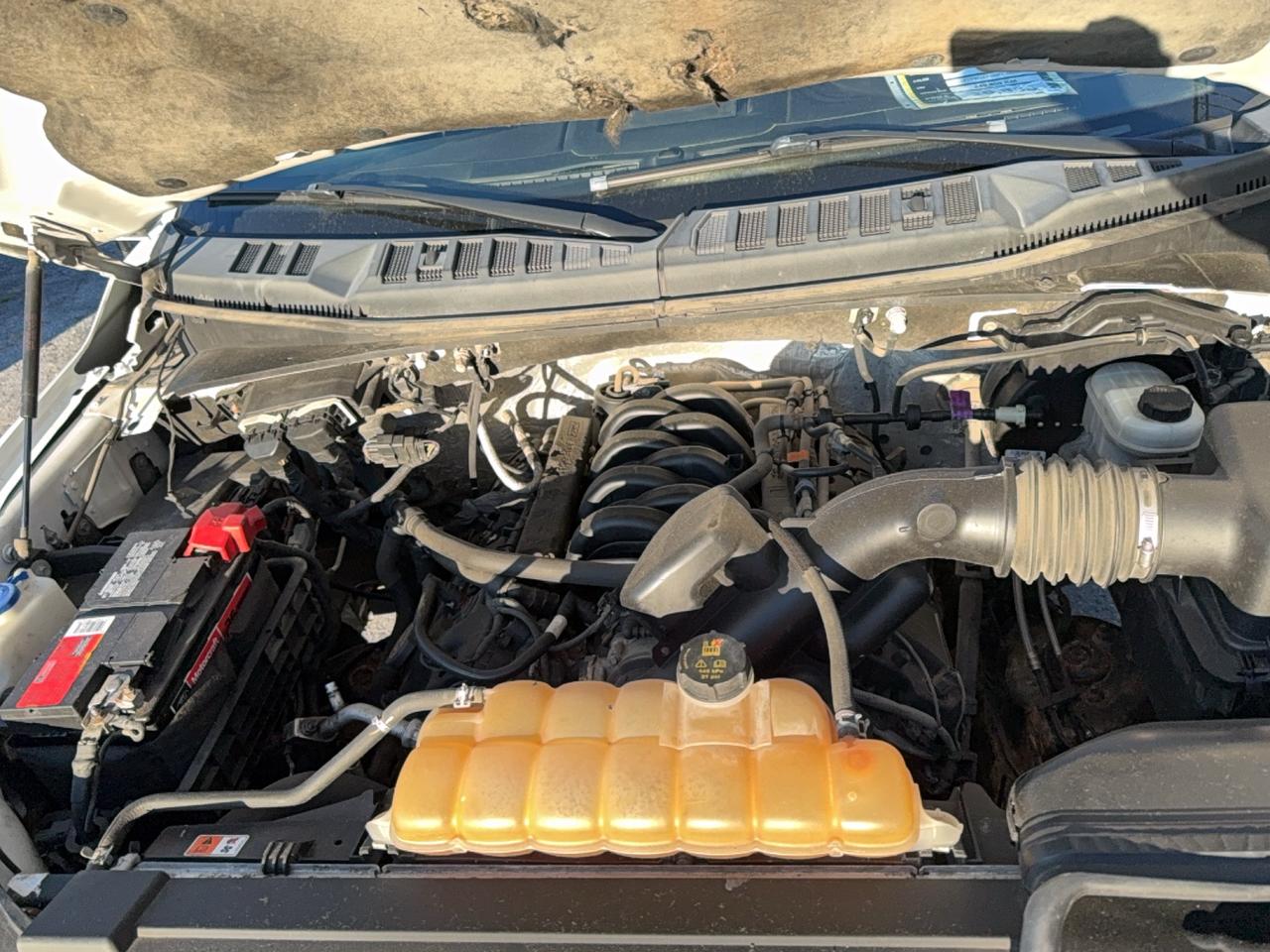 2016 Ford F-150 XLT Photo