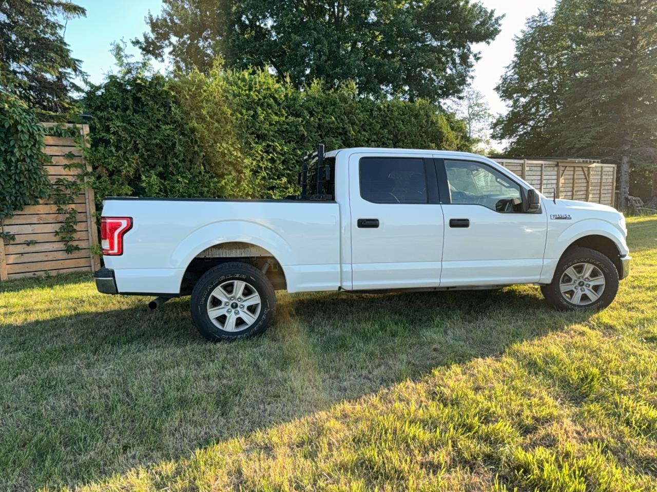 2016 Ford F-150 XLT Photo