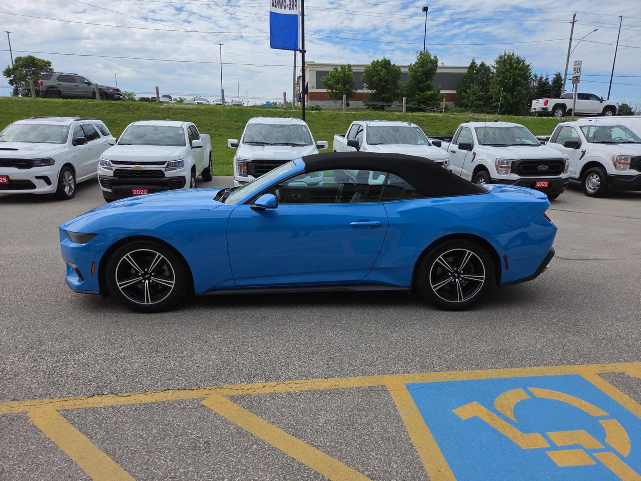 2025 Ford Mustang EcoBoost Premium Photo1