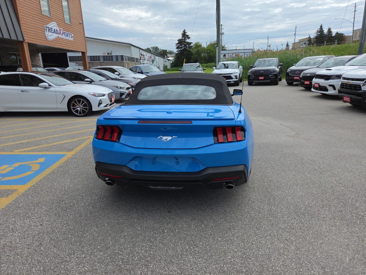 2025 Ford Mustang EcoBoost Premium Photo4