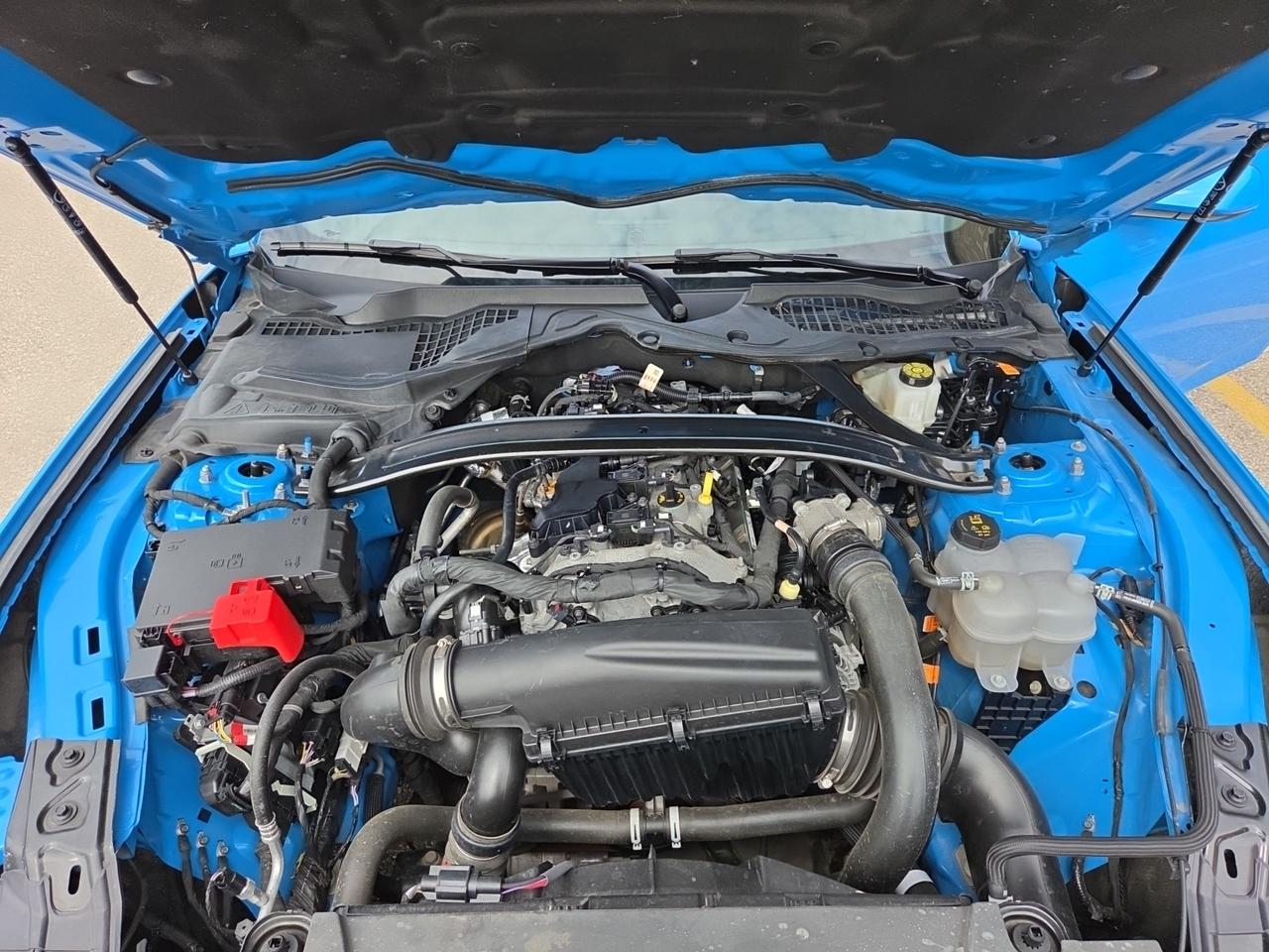 2025 Ford Mustang EcoBoost Premium Photo