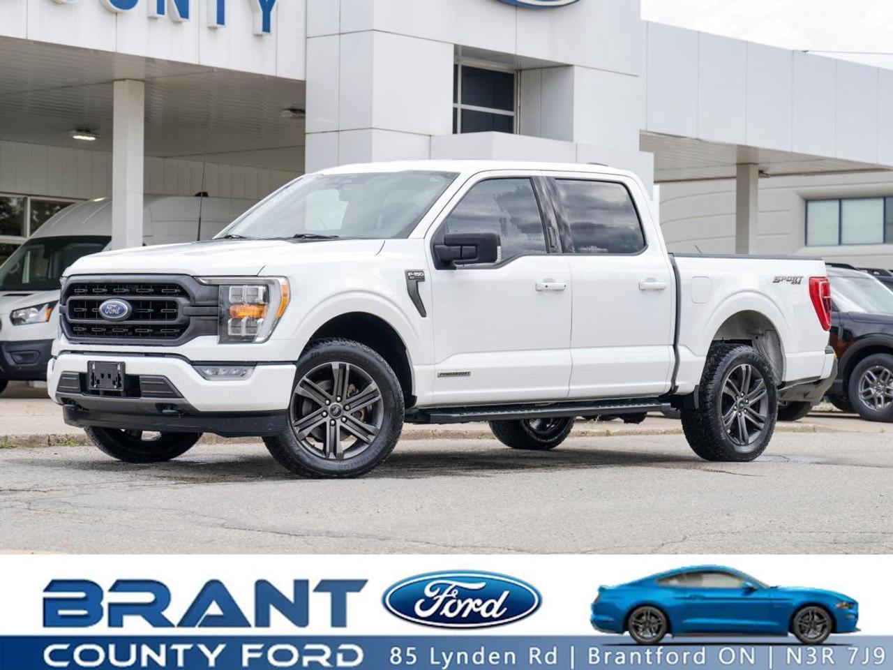 Used 2022 Ford F-150 XLT HYBRID/ 4X4 for sale in Brantford, ON