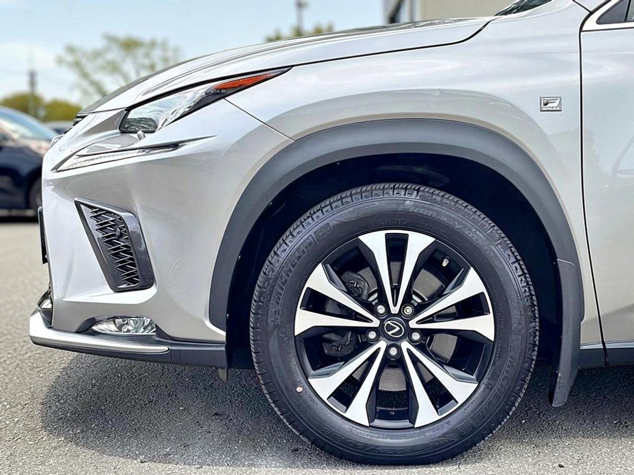 2018 Lexus NX NX 300 Photo