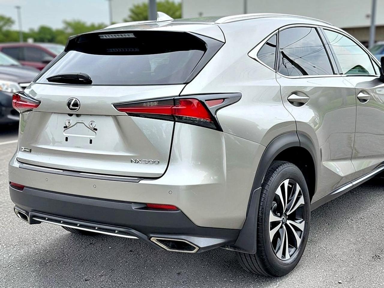 2018 Lexus NX NX 300 Photo
