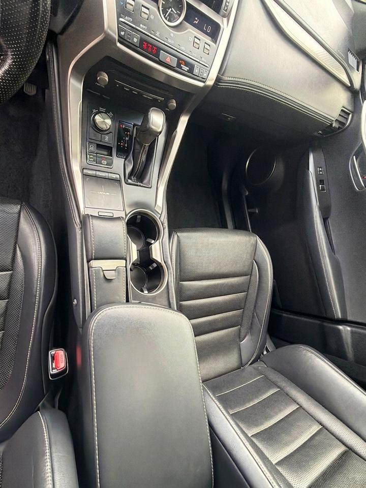 2018 Lexus NX NX 300 Photo