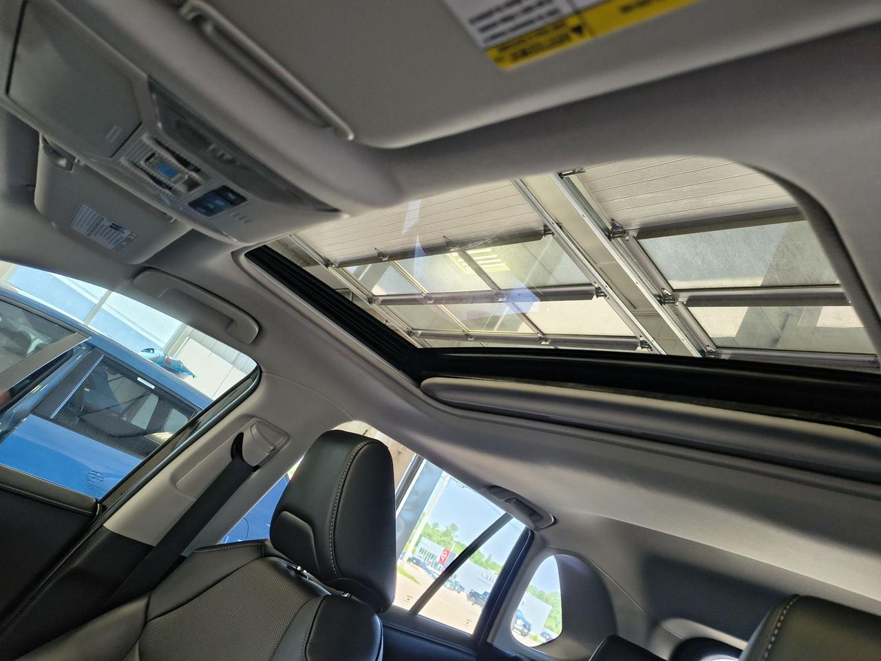 2019 Toyota RAV4 LIMITED  Photo0