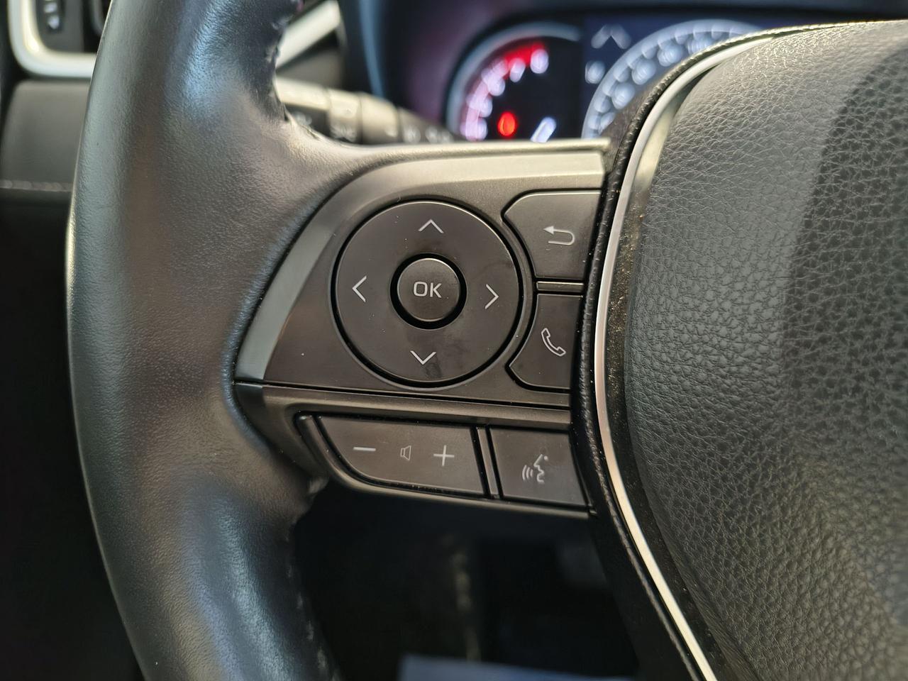 2019 Toyota RAV4 LIMITED  Photo
