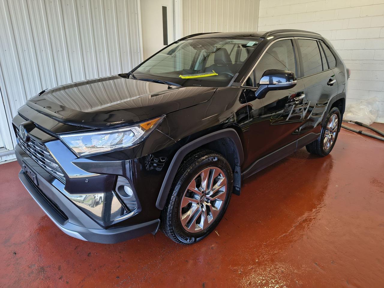 2019 Toyota RAV4 LIMITED  Photo