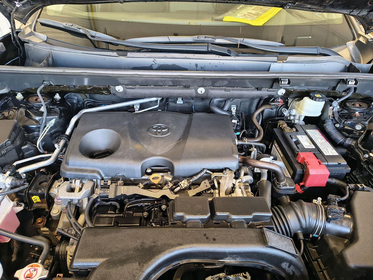 2019 Toyota RAV4 LIMITED  Photo0
