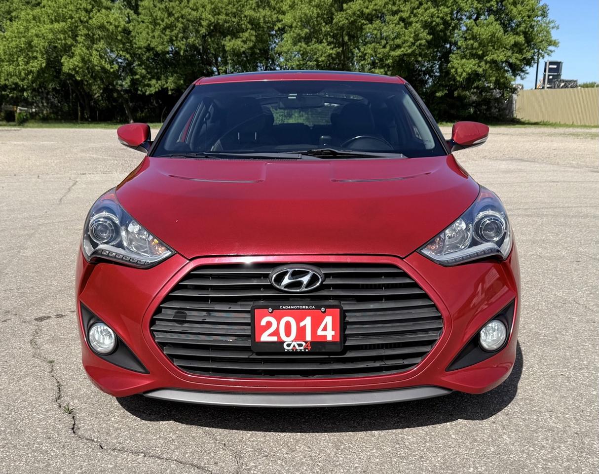 2014 Hyundai Veloster Turbo Photo
