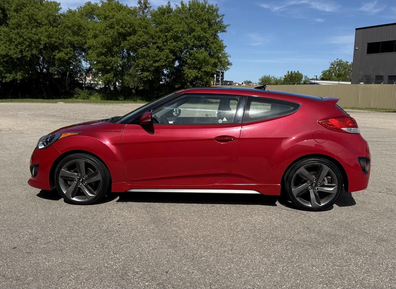 2014 Hyundai Veloster Turbo Photo