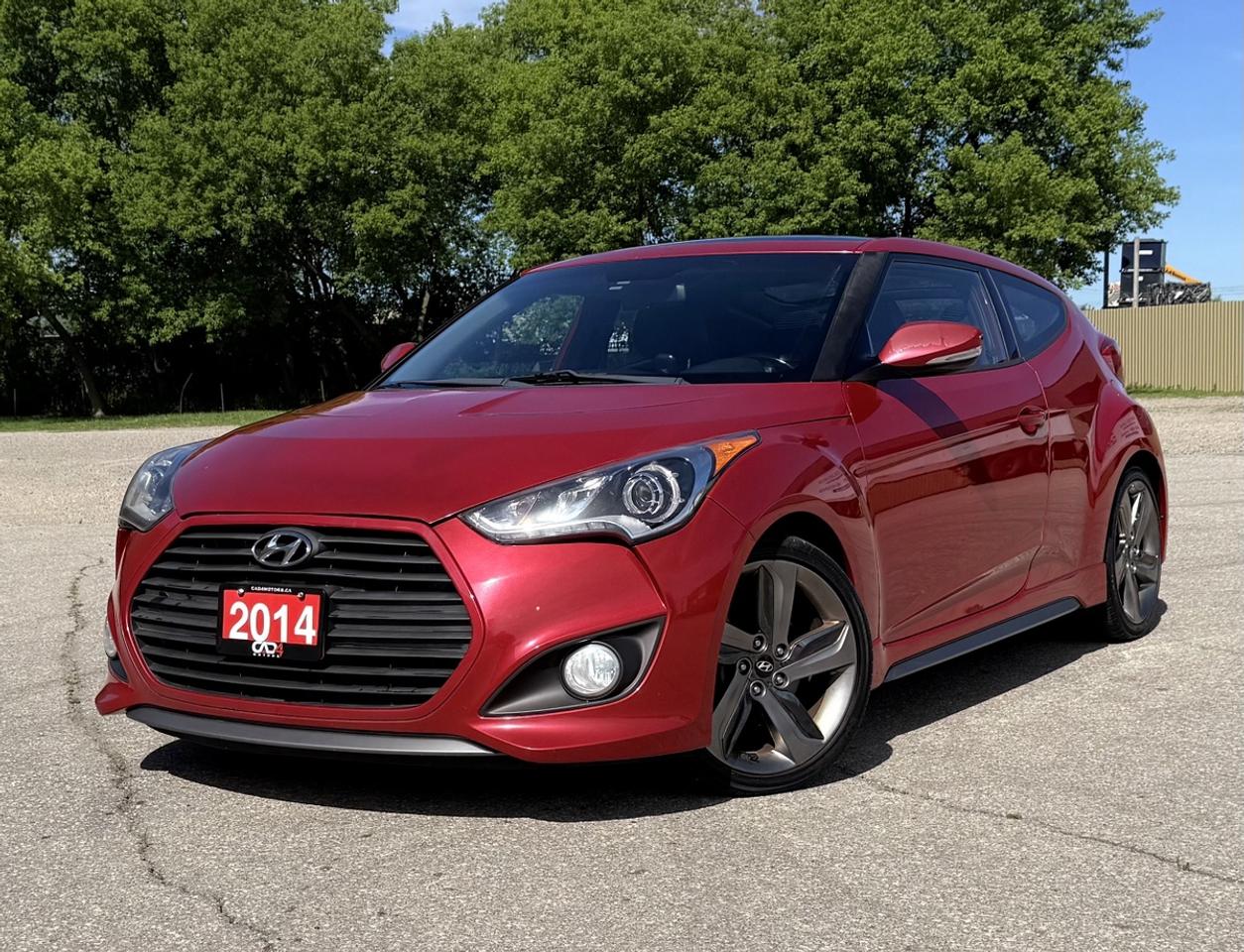 2014 Hyundai Veloster Turbo Photo0