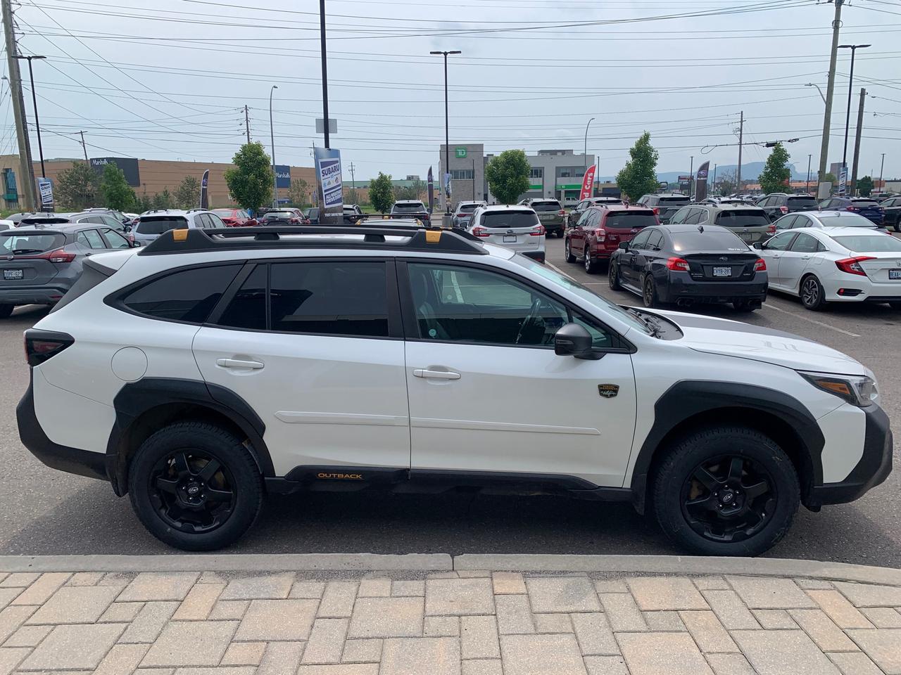 2022 Subaru Outback Wilderness 4dr All-Wheel Drive Photo