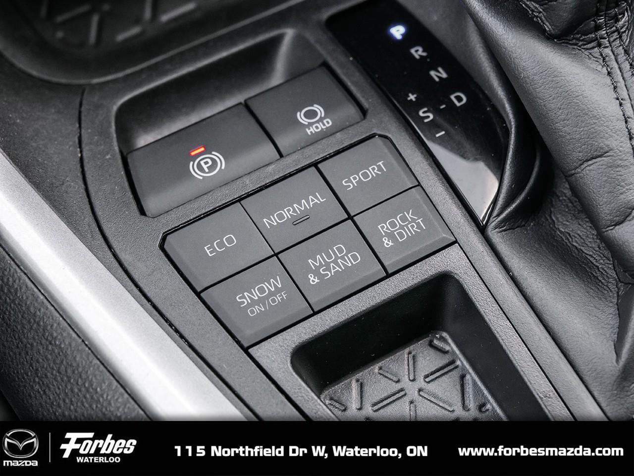 2022 Toyota RAV4 XLE 4dr All-wheel Drive Photo