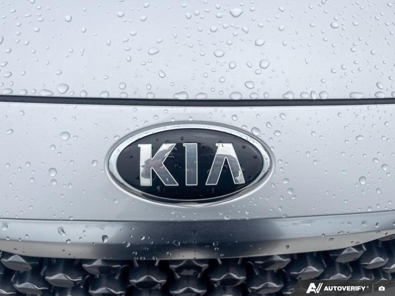 2017 Kia Sedona LX Passenger Van Photo