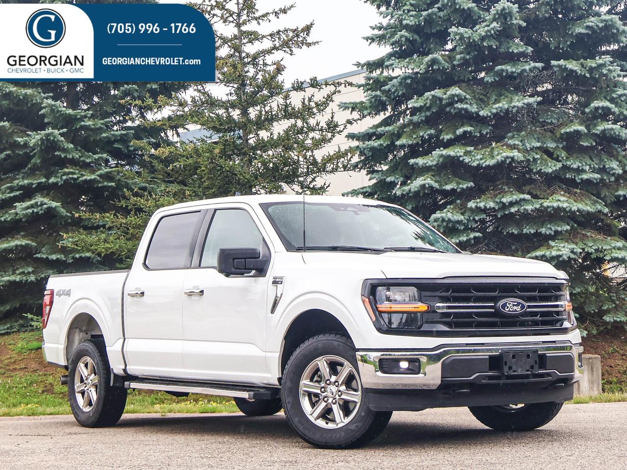 2024 Ford F-150 XLT Photo0