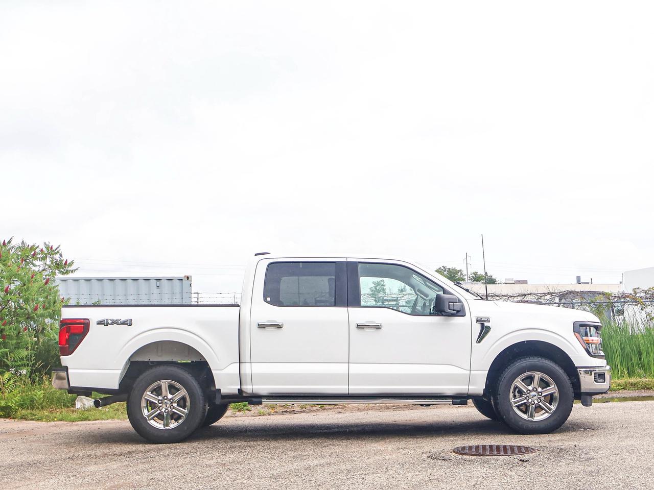 2024 Ford F-150 XLT Photo