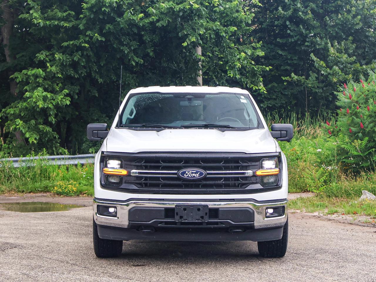 2024 Ford F-150 XLT Photo