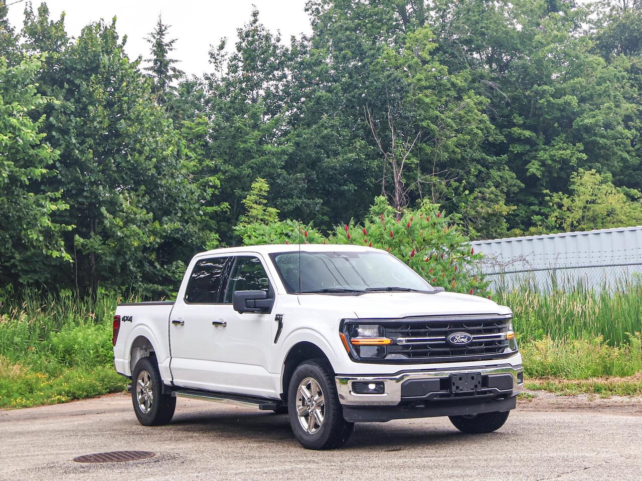 2024 Ford F-150 XLT Photo3