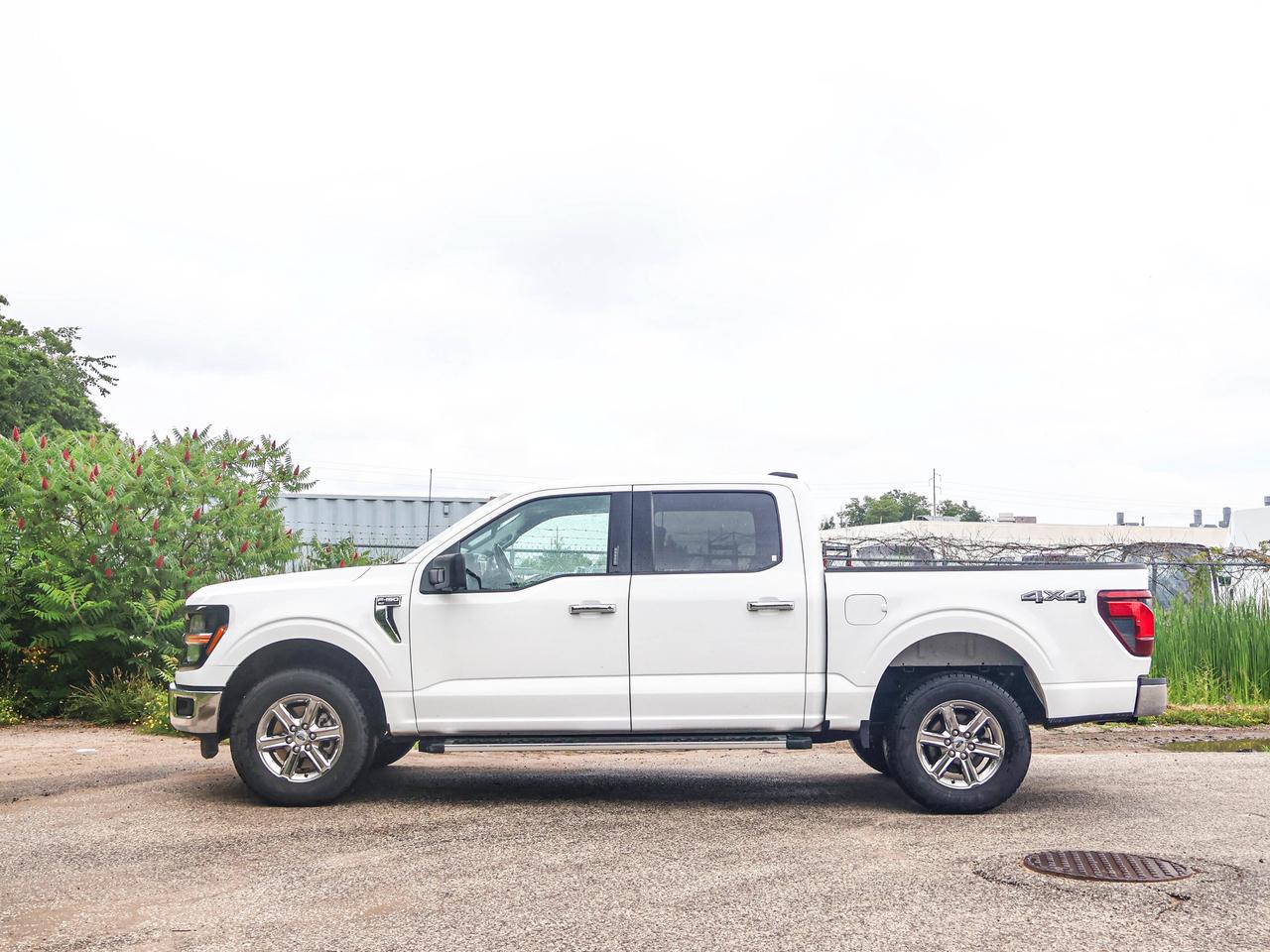 2024 Ford F-150 XLT Photo