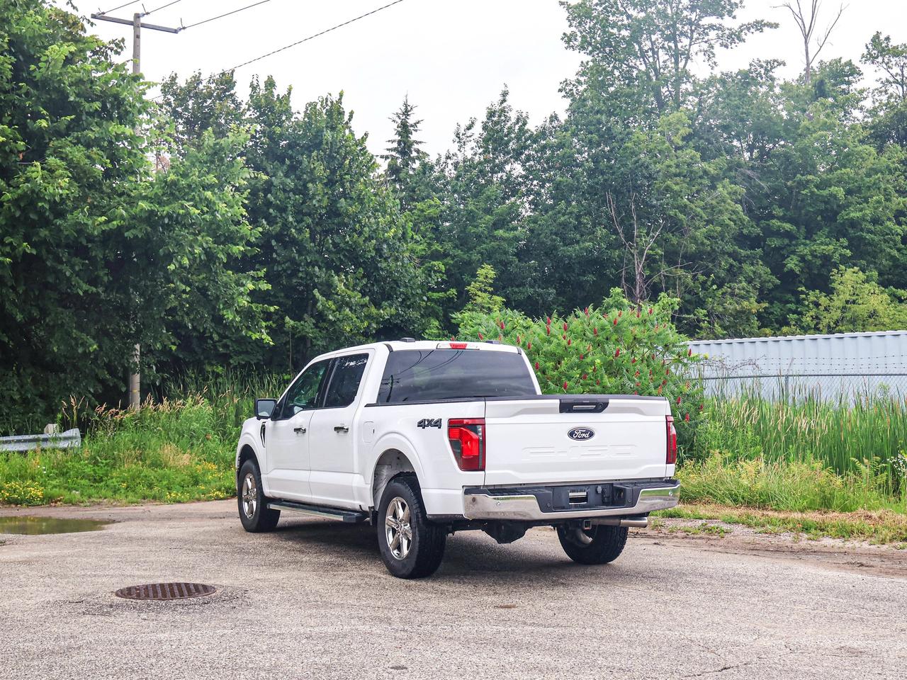 2024 Ford F-150 XLT Photo