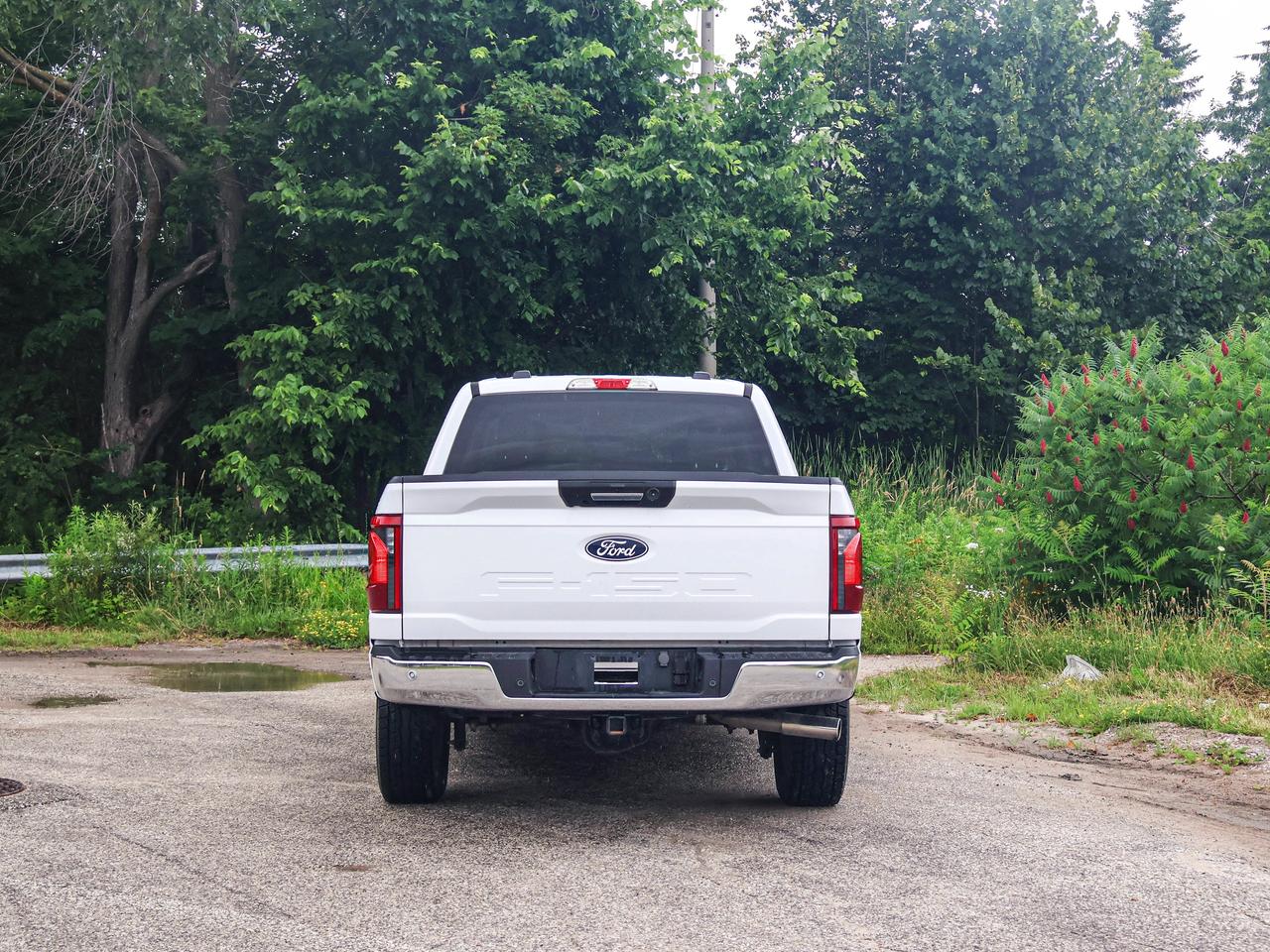 2024 Ford F-150 XLT Photo