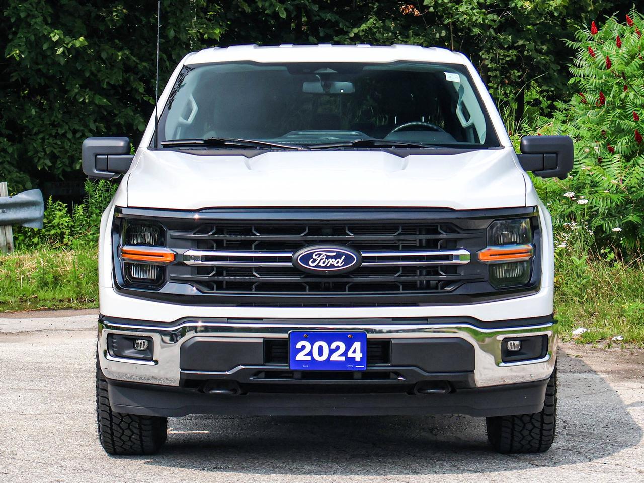 2024 Ford F-150 XLT Photo