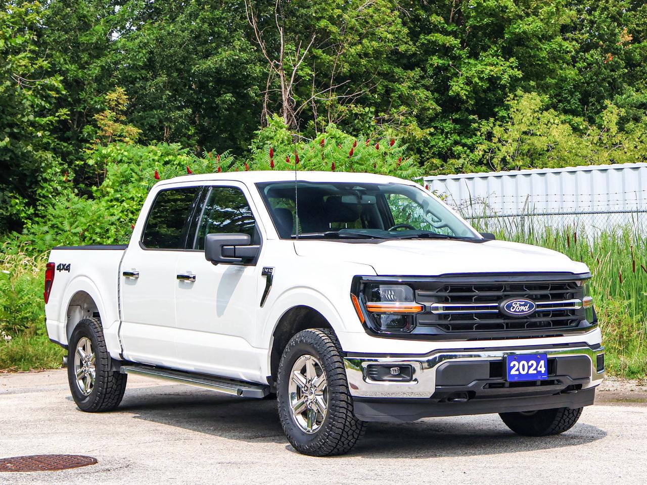 2024 Ford F-150 XLT Photo