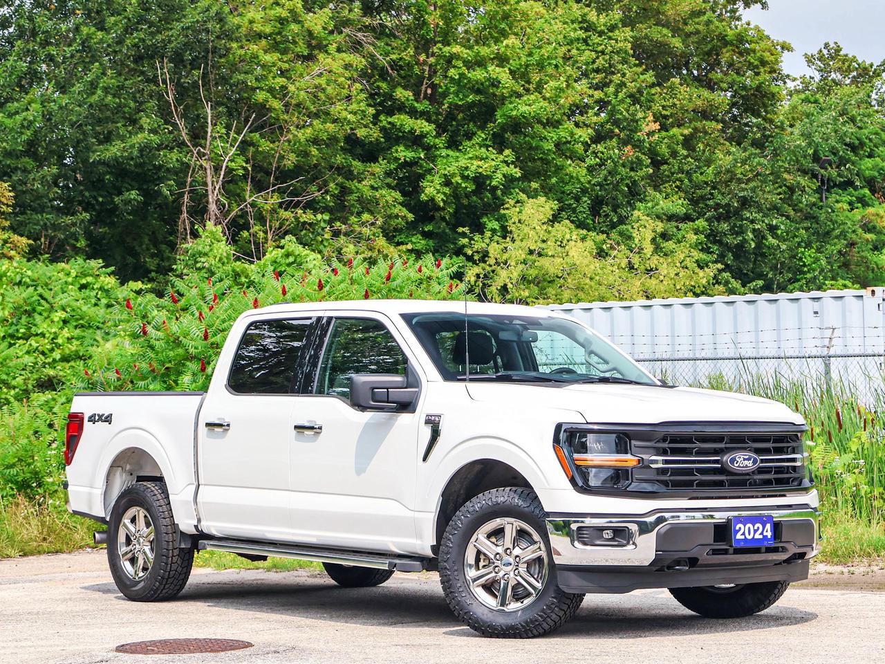 2024 Ford F-150 XLT Photo