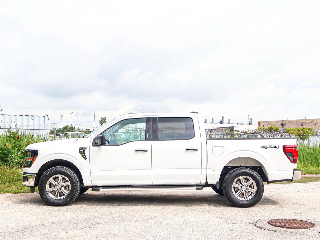 2024 Ford F-150 XLT Photo