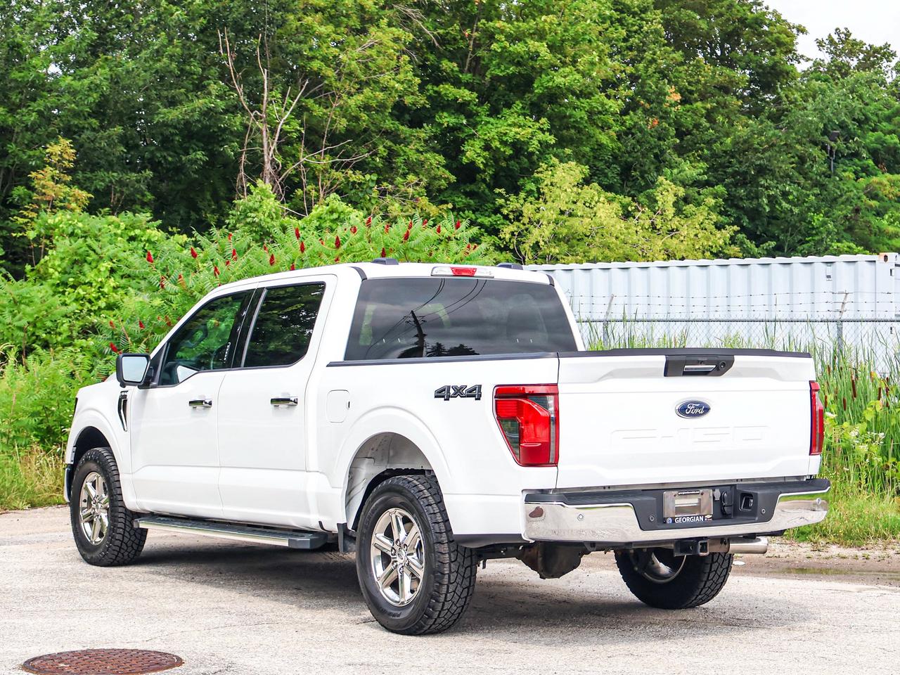 2024 Ford F-150 XLT Photo