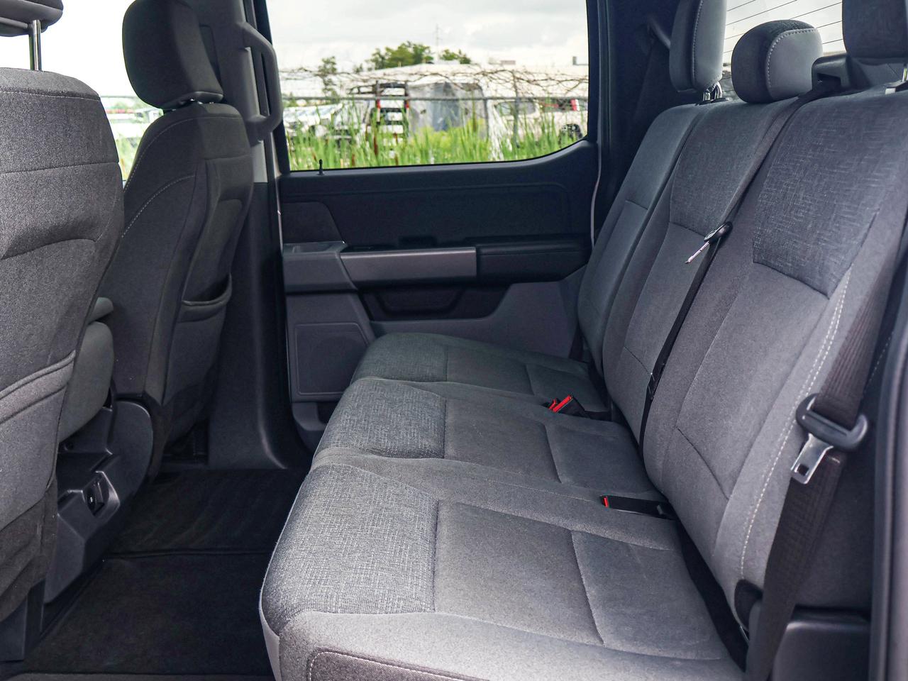 2024 Ford F-150 XLT Photo
