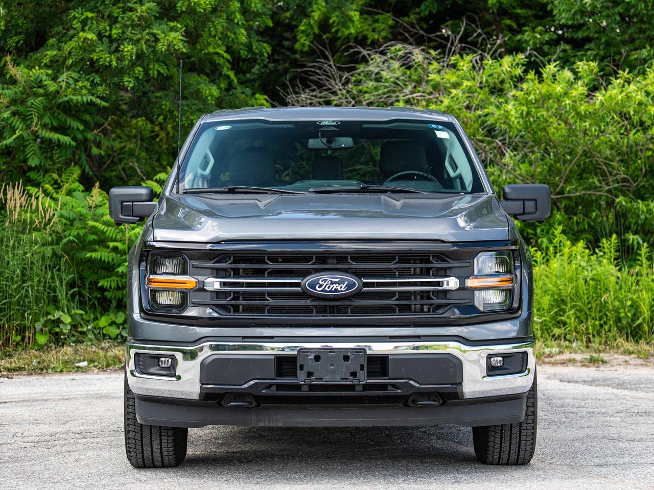 2024 Ford F-150 XLT Photo
