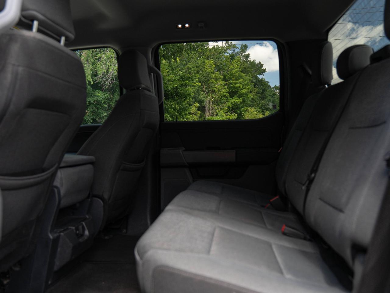 2024 Ford F-150 XLT Photo