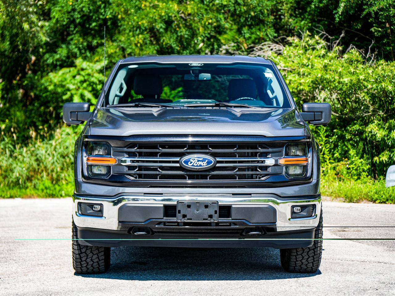 2024 Ford F-150 XLT Photo