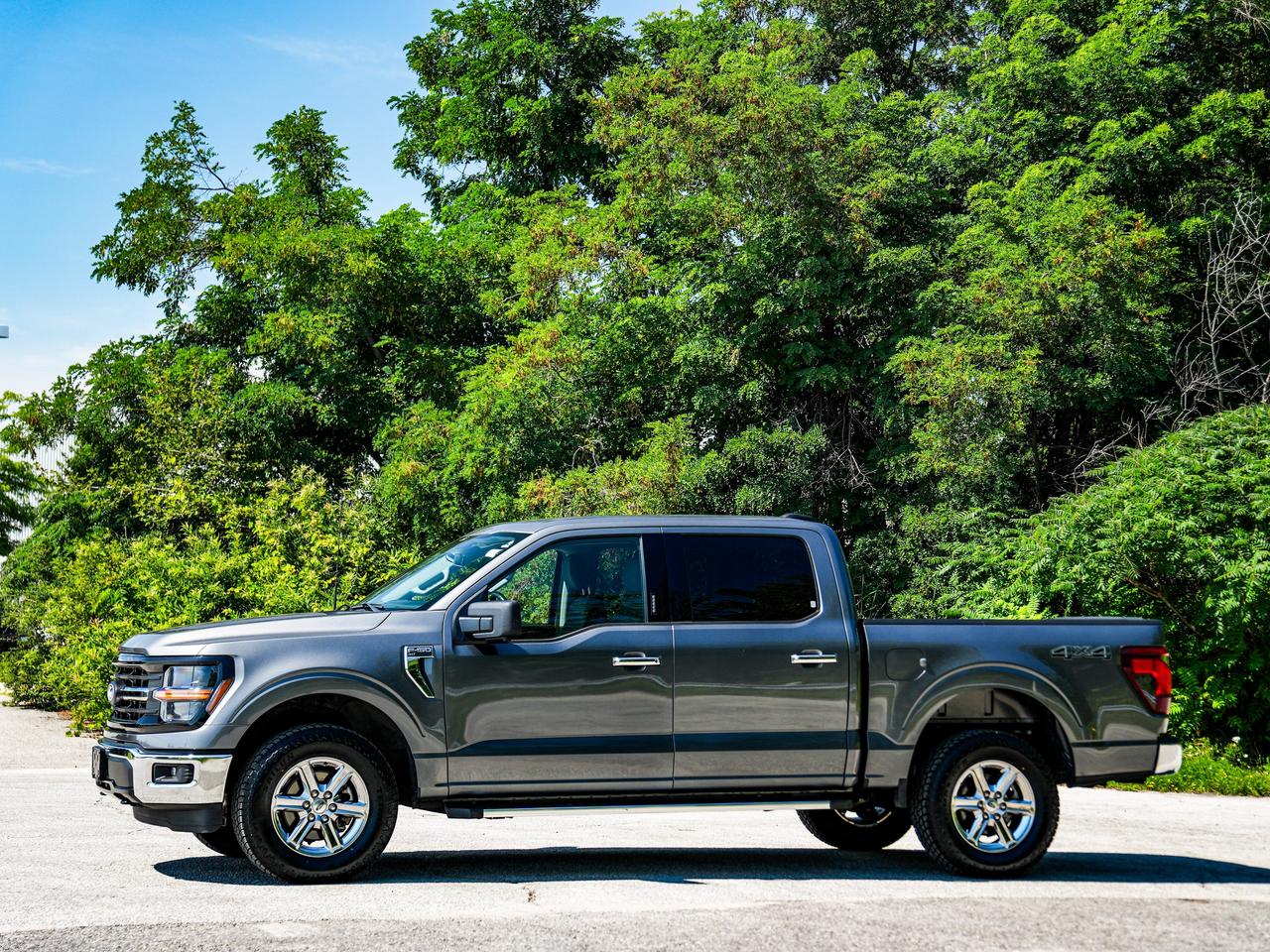 2024 Ford F-150 XLT Photo