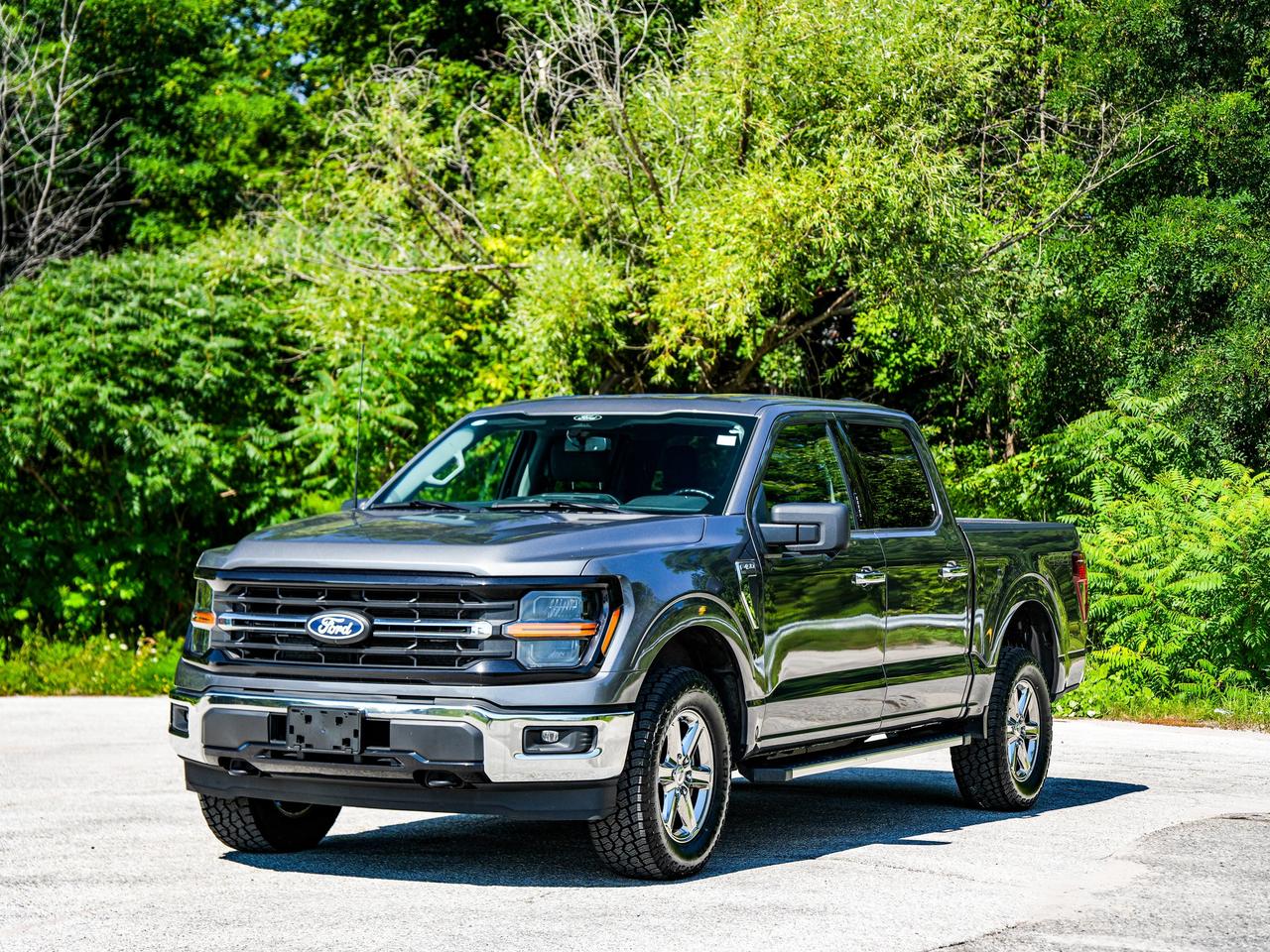 2024 Ford F-150 XLT Photo