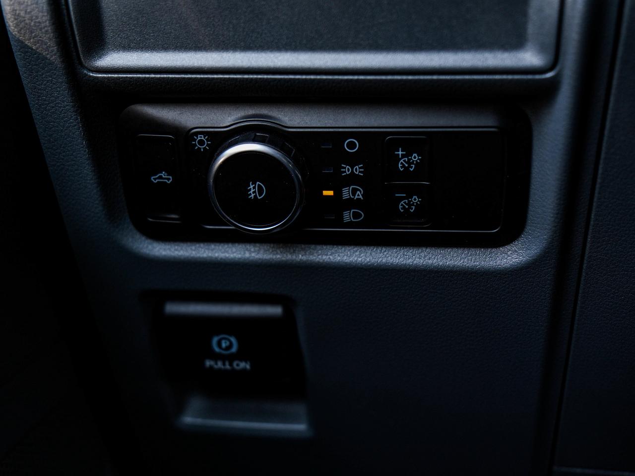 2024 Ford F-150 XLT Photo