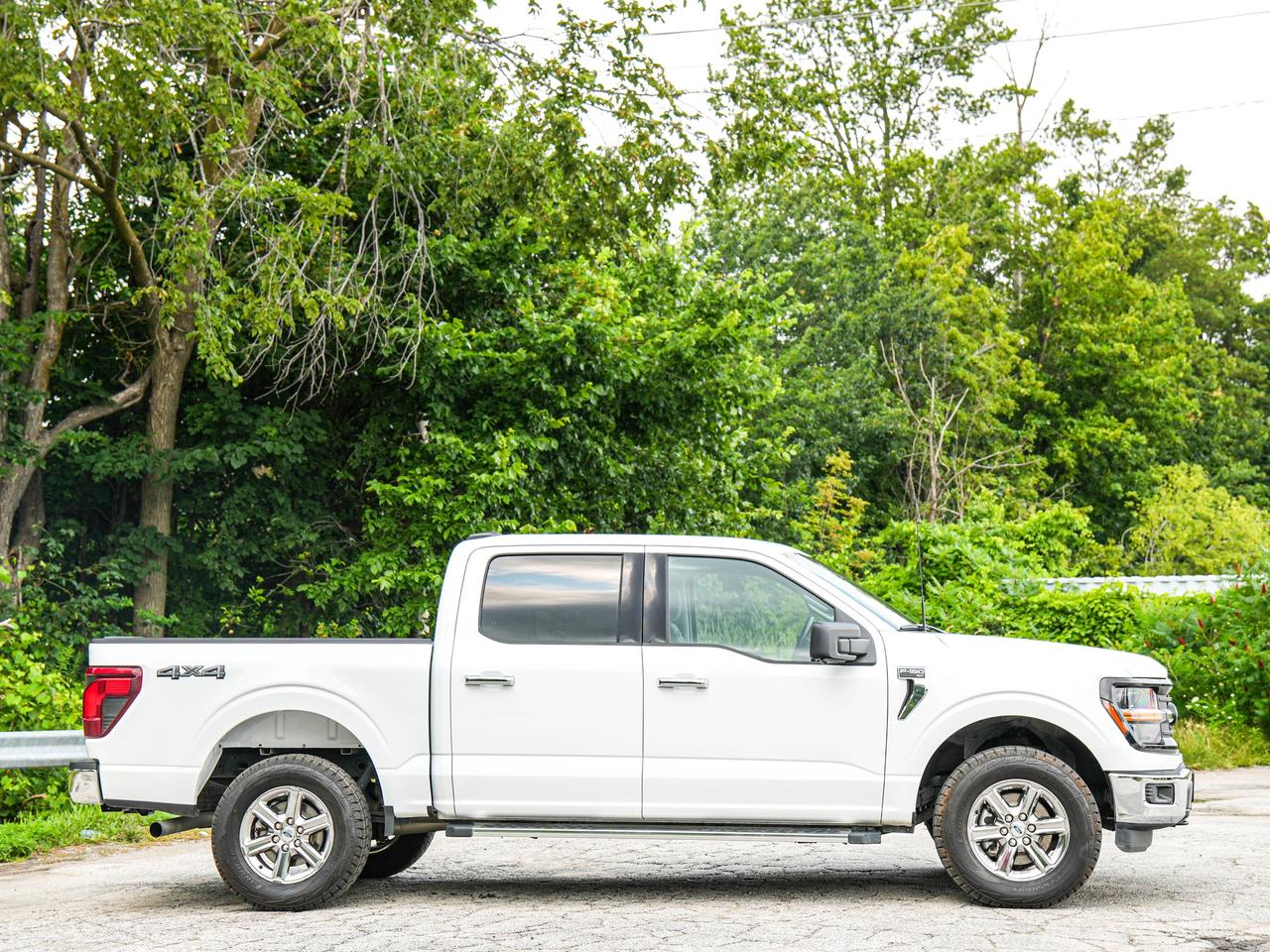 2024 Ford F-150 XLT Photo