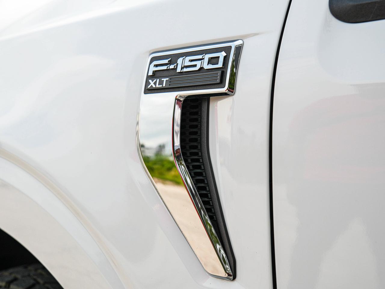 2024 Ford F-150 XLT Photo