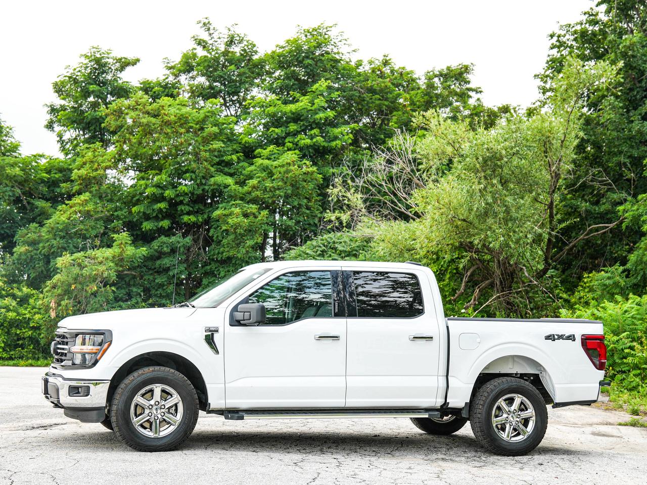 2024 Ford F-150 XLT Photo