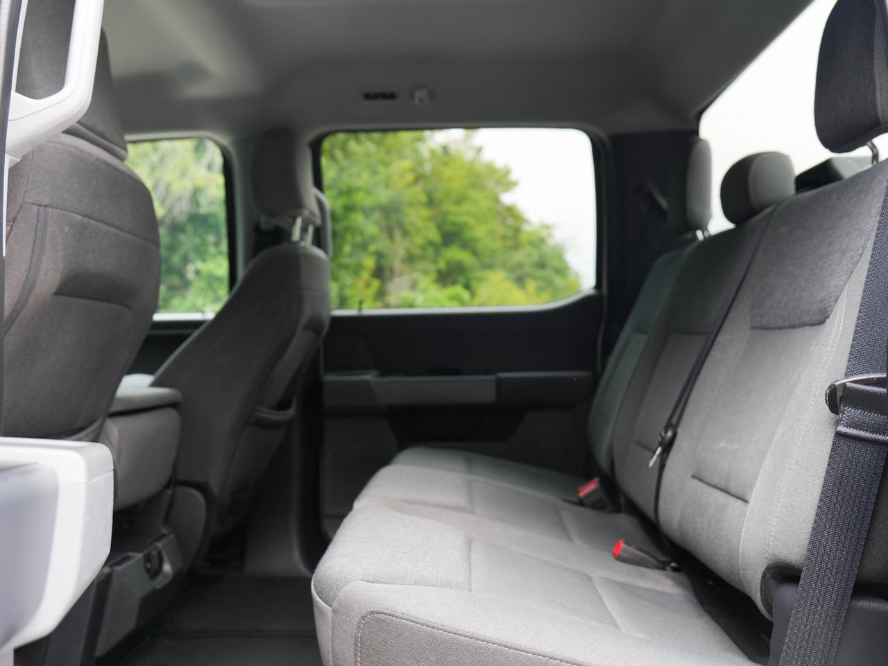 2024 Ford F-150 XLT Photo